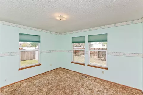 219 W Meadow Ave, Fruita, CO 81521 photo 21