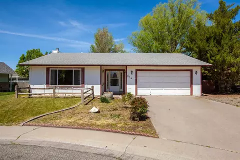 219 W Meadow Ave, Fruita, CO 81521 photo 1