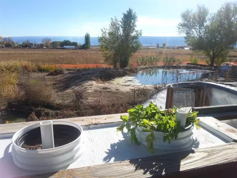 1448 20 Rd, Fruita, CO 81521 photo 17