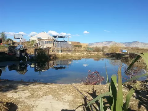 1448 20 Rd, Fruita, CO 81521 photo 14