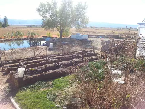 1448 20 Rd, Fruita, CO 81521 photo 13