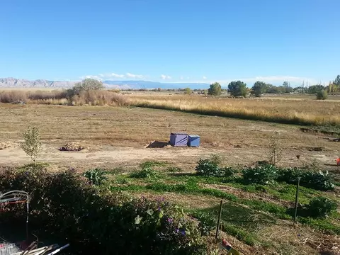 1448 20 Rd, Fruita, CO 81521 photo 18