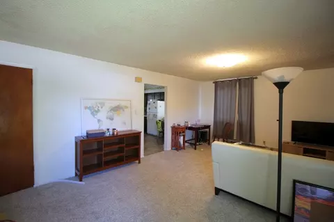 970 E Aspen Ave, Fruita, CO 81521 photo 2