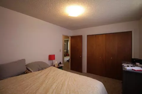 970 E Aspen Ave, Fruita, CO 81521 photo 4