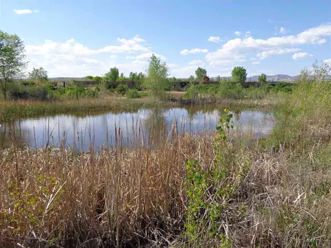1926 9 Rd, Mack, CO 81525 photo 23