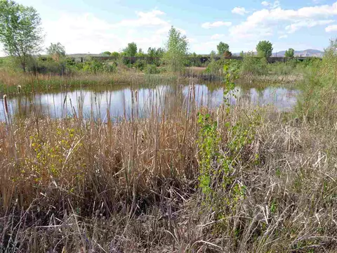 1926 9 Rd, Mack, CO 81525 photo 24
