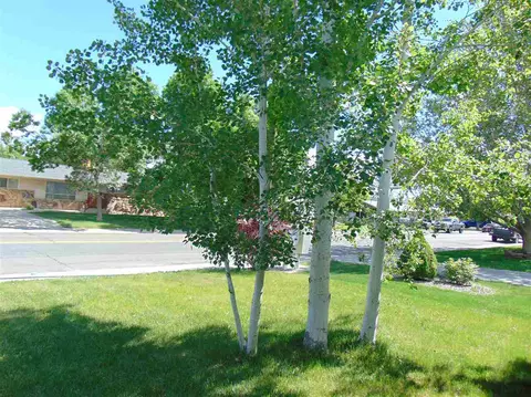 1006 E Grand Ave, Fruita, CO 81521 photo 3