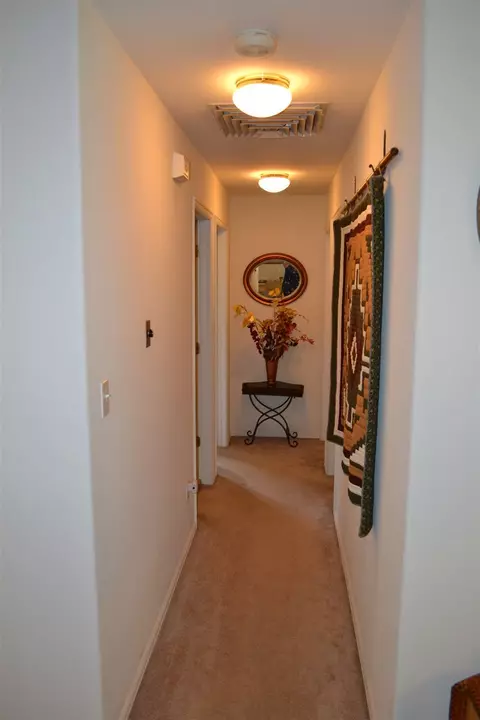 511 Quebec Ct, Fruita, CO 81521 photo 11