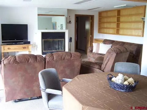500 Crest Dr, Cimarron, CO 81220 photo 17