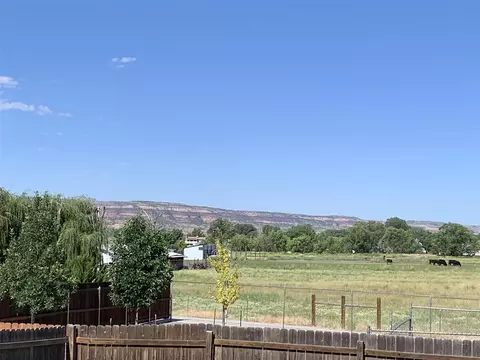 987 Echo Canyon St, Fruita, CO 81521 photo 2
