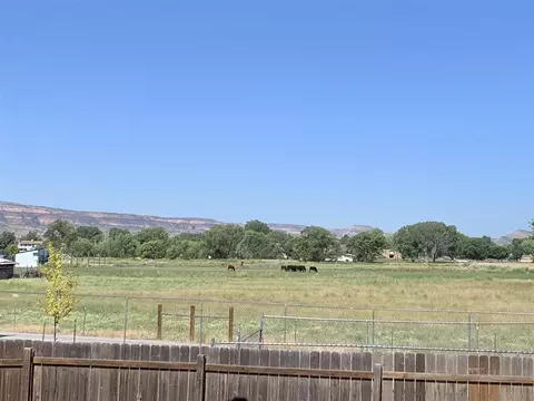 987 Echo Canyon St, Fruita, CO 81521 photo 3