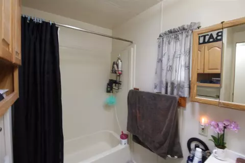 606 E Carolina Ave, Fruita, CO 81521 photo 10