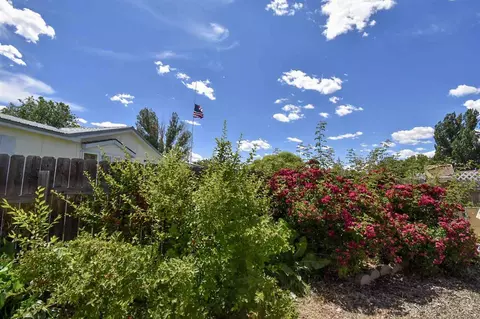 1445 S Gemini Cir, Fruita, CO 81521 photo 21