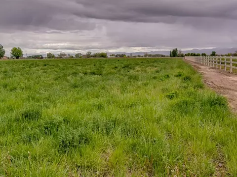 2006 Roma Ave, Fruita, CO 81521 photo 26