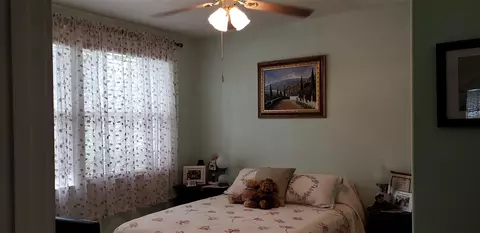 1121 Primrose Ln, Fruita, CO 81521 photo 5