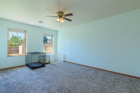 623 Silverplume Dr, Fruita, CO 81521 photo 13