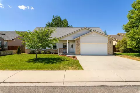 623 Silverplume Dr, Fruita, CO 81521 photo 1