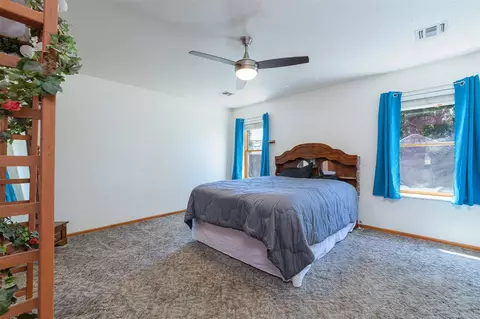 623 Silverplume Dr, Fruita, CO 81521 photo 15