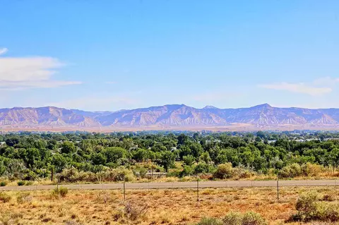 930 Laura Ct, Fruita, CO 81521 photo 19