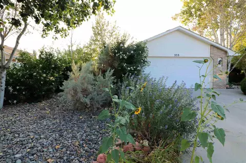 333 Crystal Ct, Fruita, CO 81521 photo 30