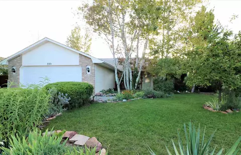 333 Crystal Ct, Fruita, CO 81521 photo 36