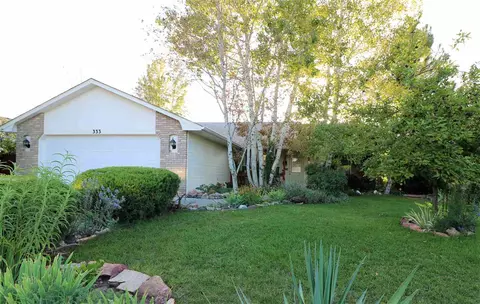 333 Crystal Ct, Fruita, CO 81521 photo 1