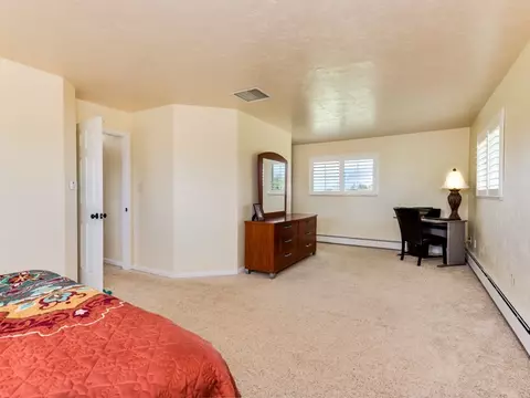 1006 21 Rd, Fruita, CO 81521 photo 30