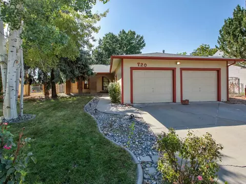 720 Pinyon Ct, Fruita, CO 81521 photo 2