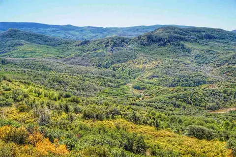 71090 Highway 330e, Collbran, CO 81624 photo 27