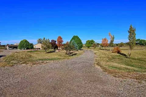 1351 19 Rd, Fruita, CO 81521 photo 42