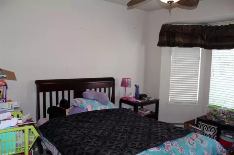 273 Drumlin Cir, Fruita, CO 81521 photo 5