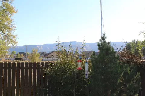 273 Drumlin Cir, Fruita, CO 81521 photo 30