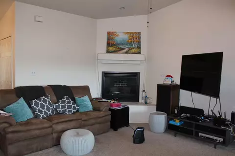273 Drumlin Cir, Fruita, CO 81521 photo 12