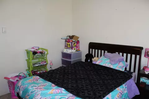 273 Drumlin Cir, Fruita, CO 81521 photo 6