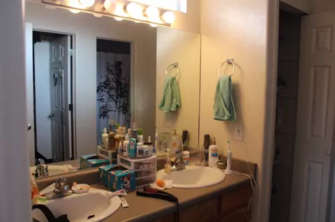 273 Drumlin Cir, Fruita, CO 81521 photo 18