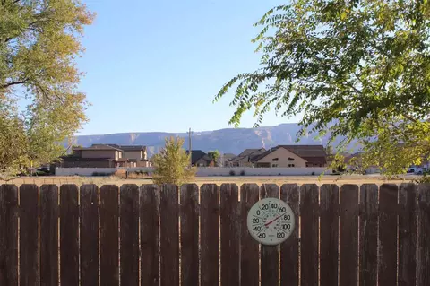 273 Drumlin Cir, Fruita, CO 81521 photo 31