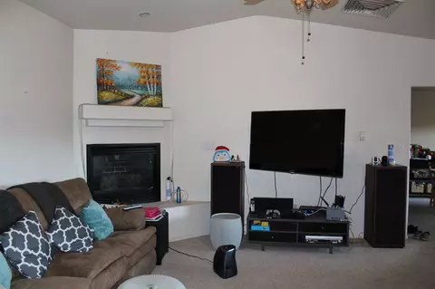 273 Drumlin Cir, Fruita, CO 81521 photo 11