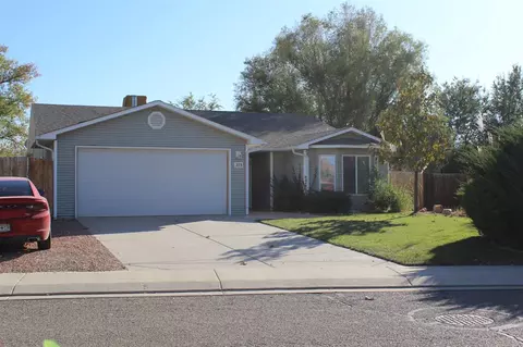 273 Drumlin Cir, Fruita, CO 81521 photo 3