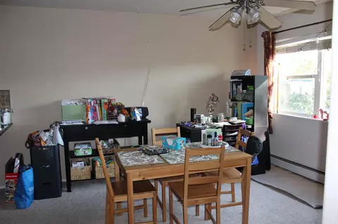 273 Drumlin Cir, Fruita, CO 81521 photo 13