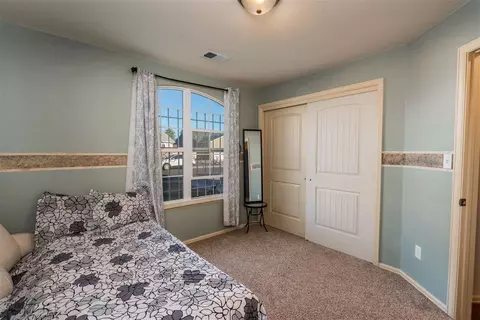 213 Javan Ct, Fruita, CO 81521 photo 16