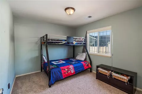 213 Javan Ct, Fruita, CO 81521 photo 17