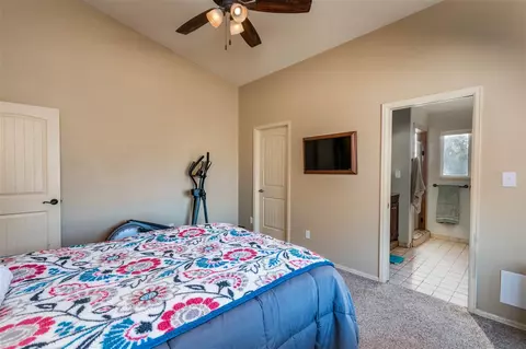 213 Javan Ct, Fruita, CO 81521 photo 11