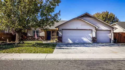 673 Silverplume Dr, Fruita, CO 81521 photo 1
