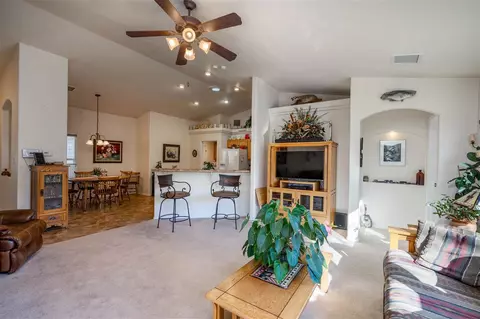 738 Silverplume Dr, Fruita, CO 81521 photo 5