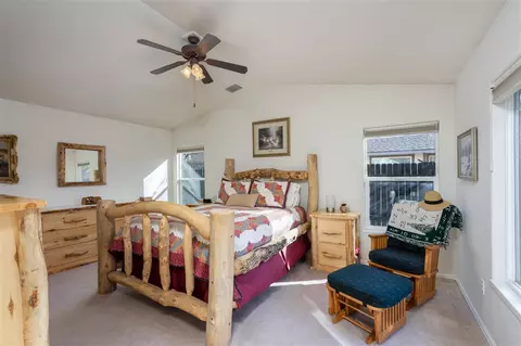 738 Silverplume Dr, Fruita, CO 81521 photo 15