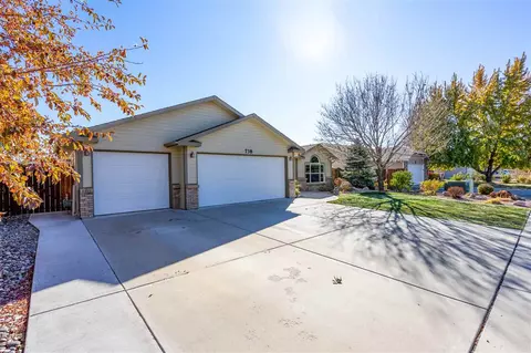738 Silverplume Dr, Fruita, CO 81521 photo 2