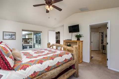 738 Silverplume Dr, Fruita, CO 81521 photo 16