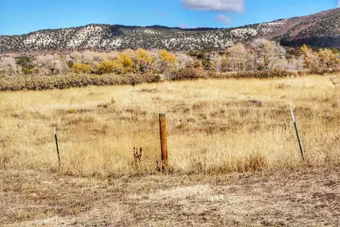 7050 Highway 65, Mesa, CO 81643 photo 38
