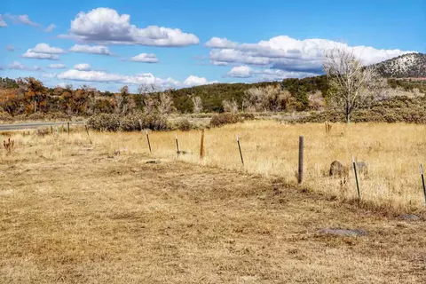 7050 Highway 65, Mesa, CO 81643 photo 37