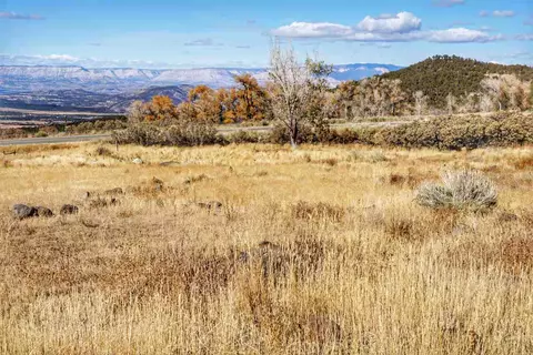 7050 Highway 65, Mesa, CO 81643 photo 6